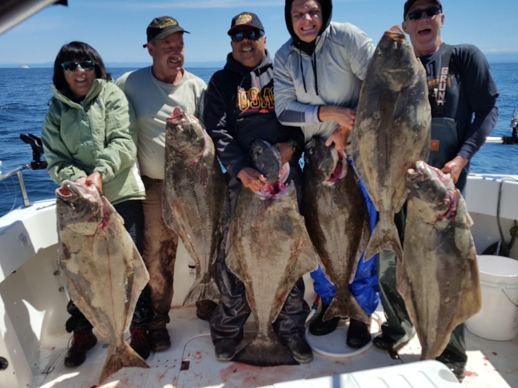Halibut limits! Full Throttle Sportfishing